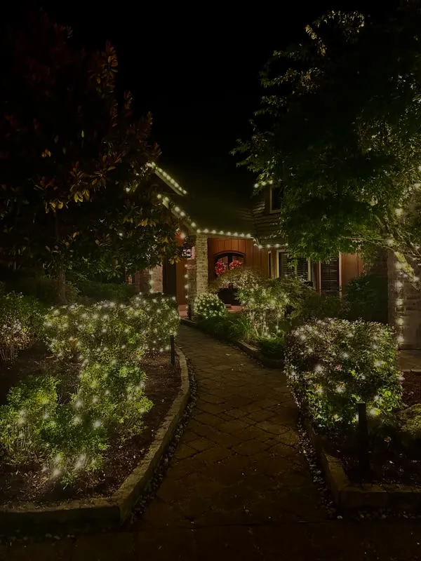Stone garden path between shrubs covered in warm white net lights, with roofline lights on the house