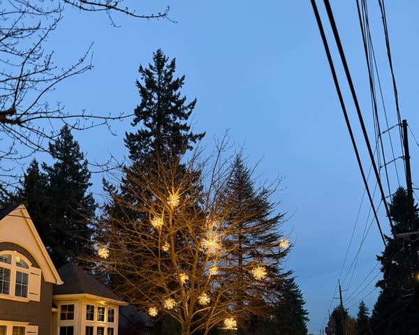 Bare tree hung with glowing light spheres at dusk