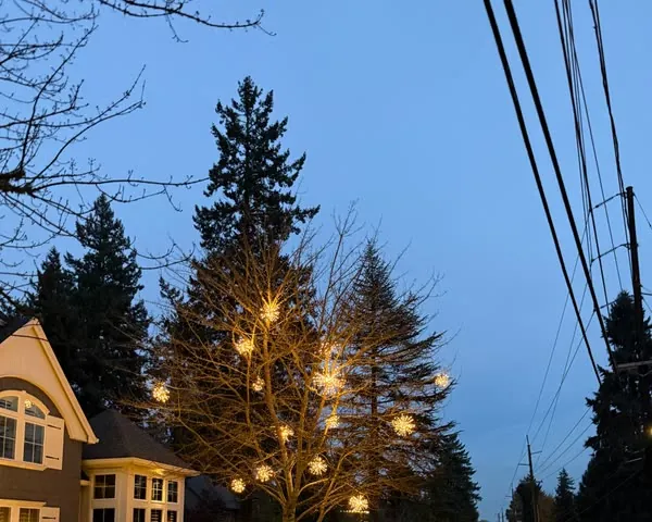 Bare tree hung with glowing light spheres at dusk